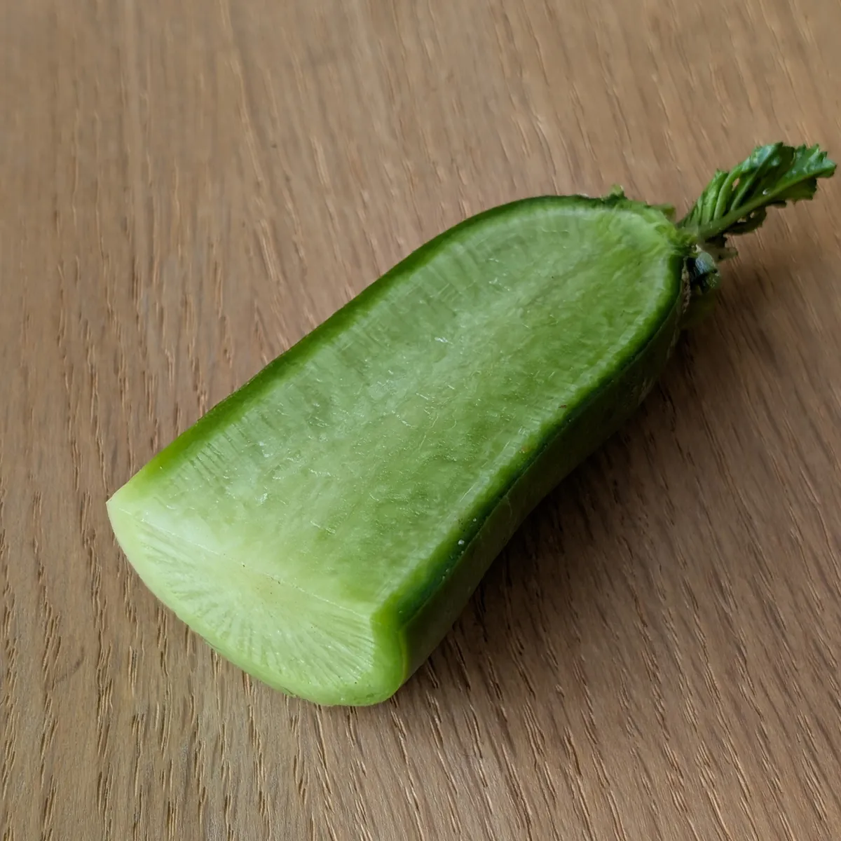 Grüner Rettich 'Green Luobo' (Raphanus sativus) Samen