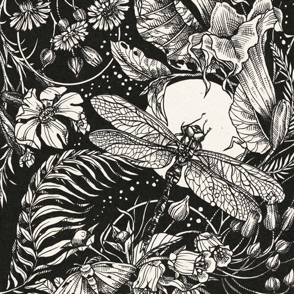 Schwarz-weiße Illustration: Libelle vor dem Vollmond zwischen Blüten, Farnen und einem Nachtfalter
