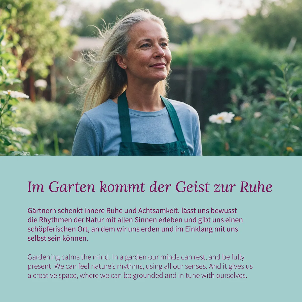 Winter Gemüse - Robuste Gemüsesorten für die kalte Jahreszeit - Samenset Nr. 41