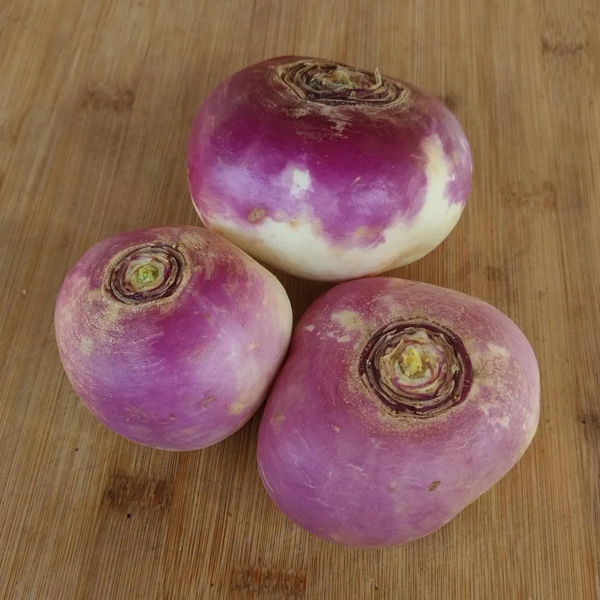 Herbstrüben 'Runde, Weiße, Rotköpfige' (Brassica rapa ssp. rapa) Bio Saatgut