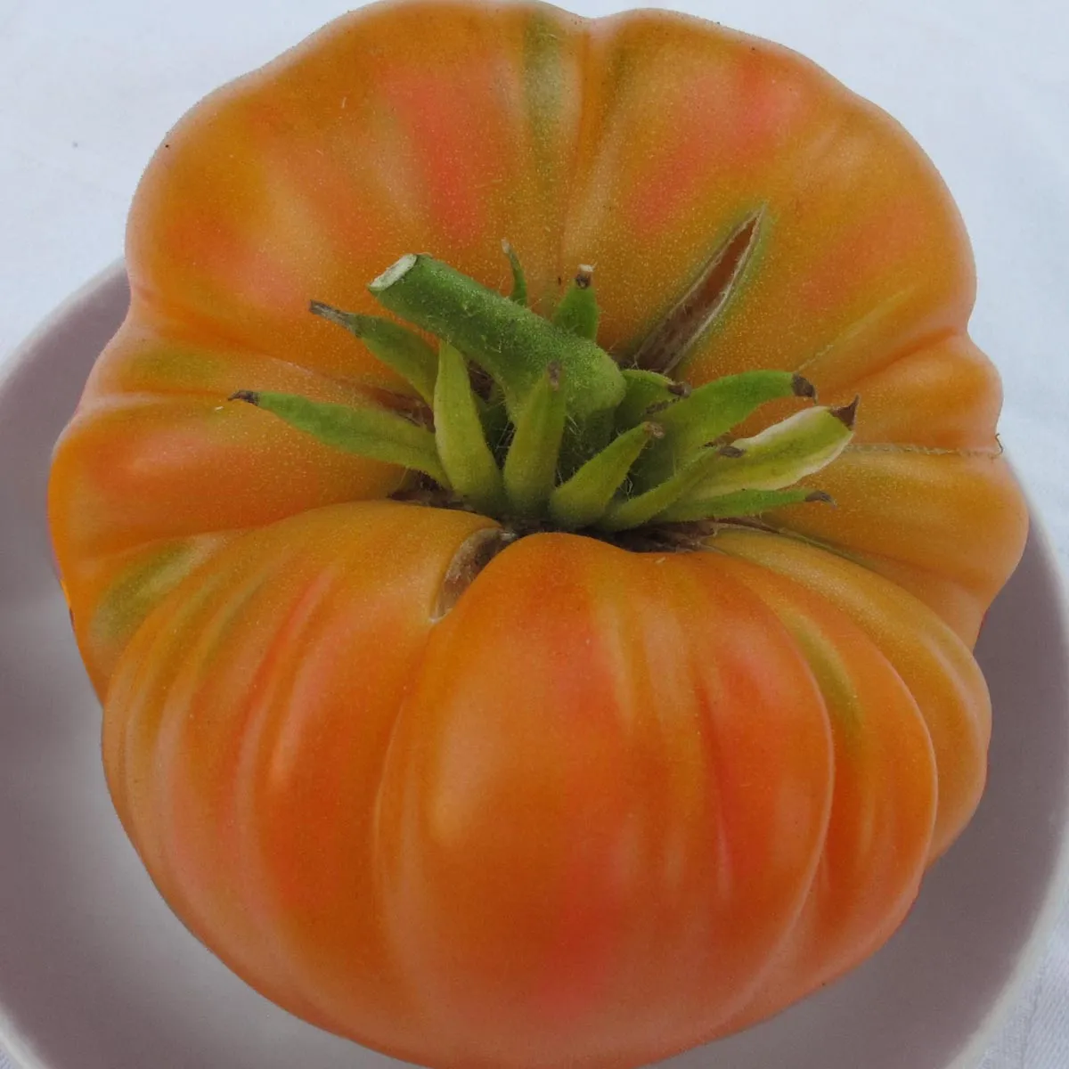 Tomate 'Old German' (Solanum lycopersicum) Samen
