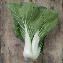 Geernteter Pak Choi mit weißen Stielen auf Holzuntergrund