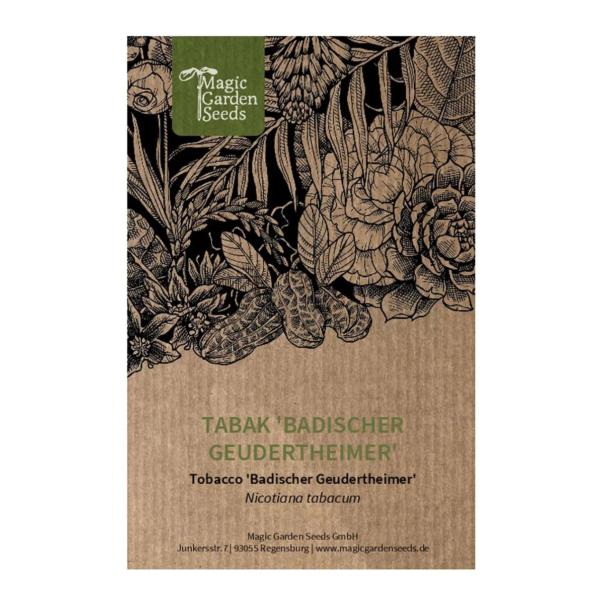 Tabak 'Badischer Geudertheimer' (Nicotiana tabacum) Samen