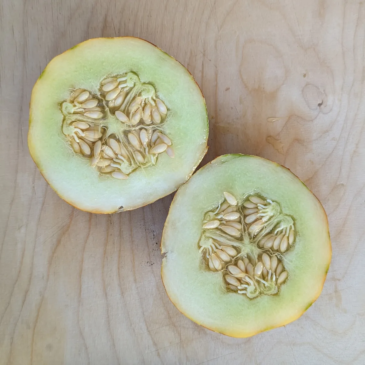 Honigmelone 'Kajari' (Cucumis melo) Samen