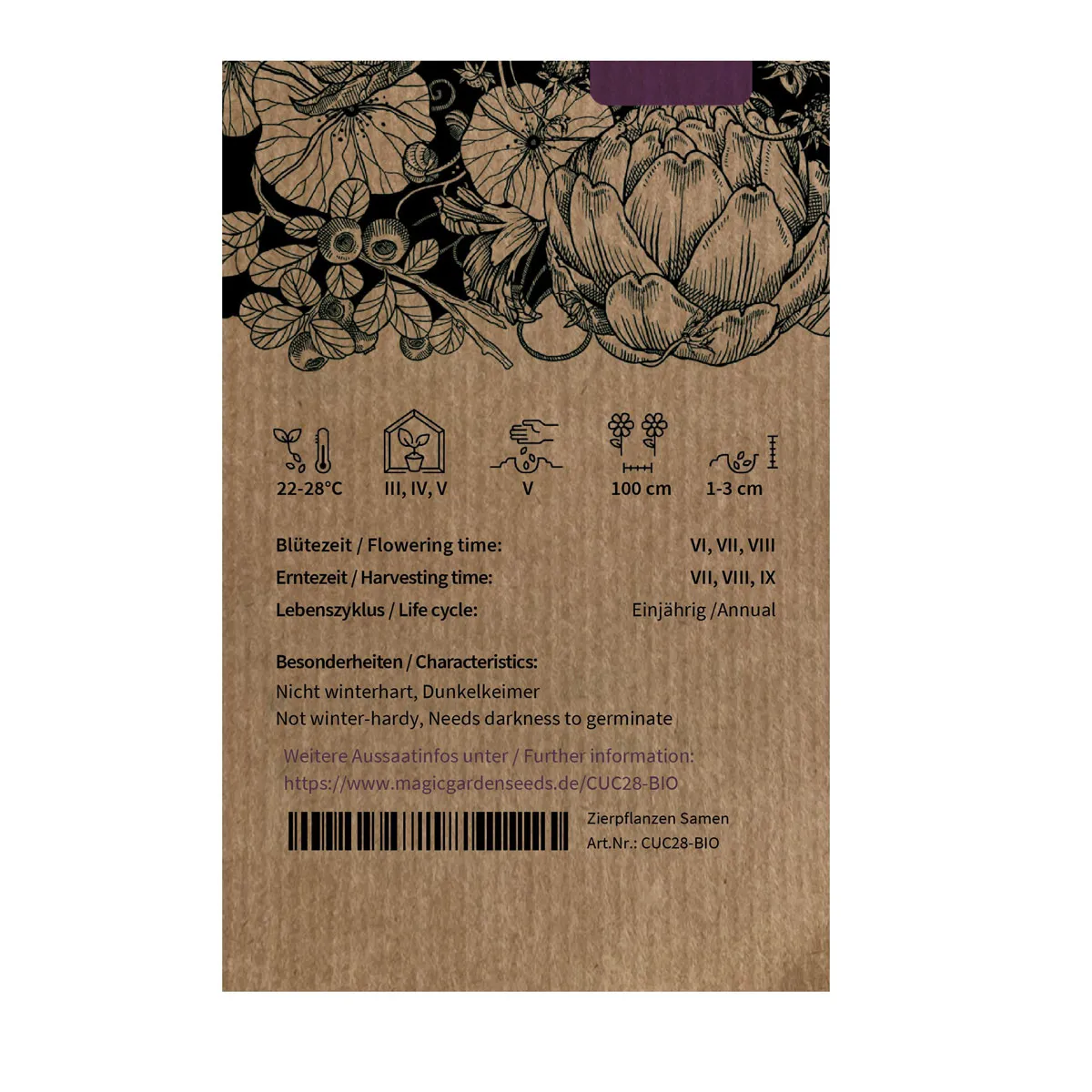 Netzmelone 'Petit gris de Rennes' (Cucumis melo) Bio-Saatgut