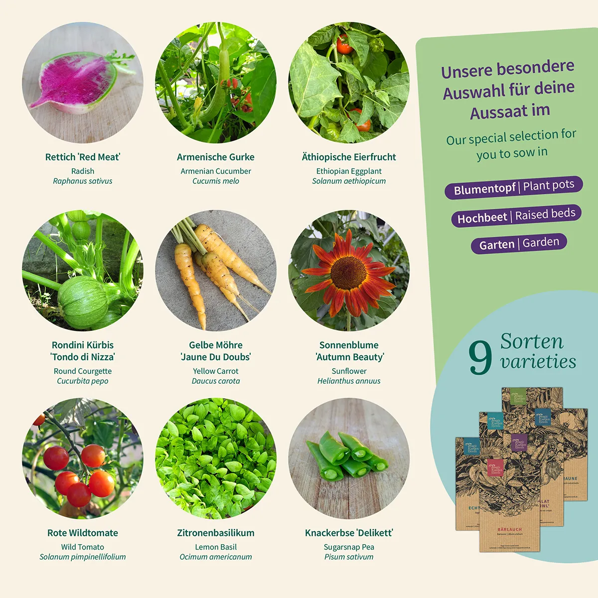 Samen Raritäten für deinen Garten- Samenset Nr. 2