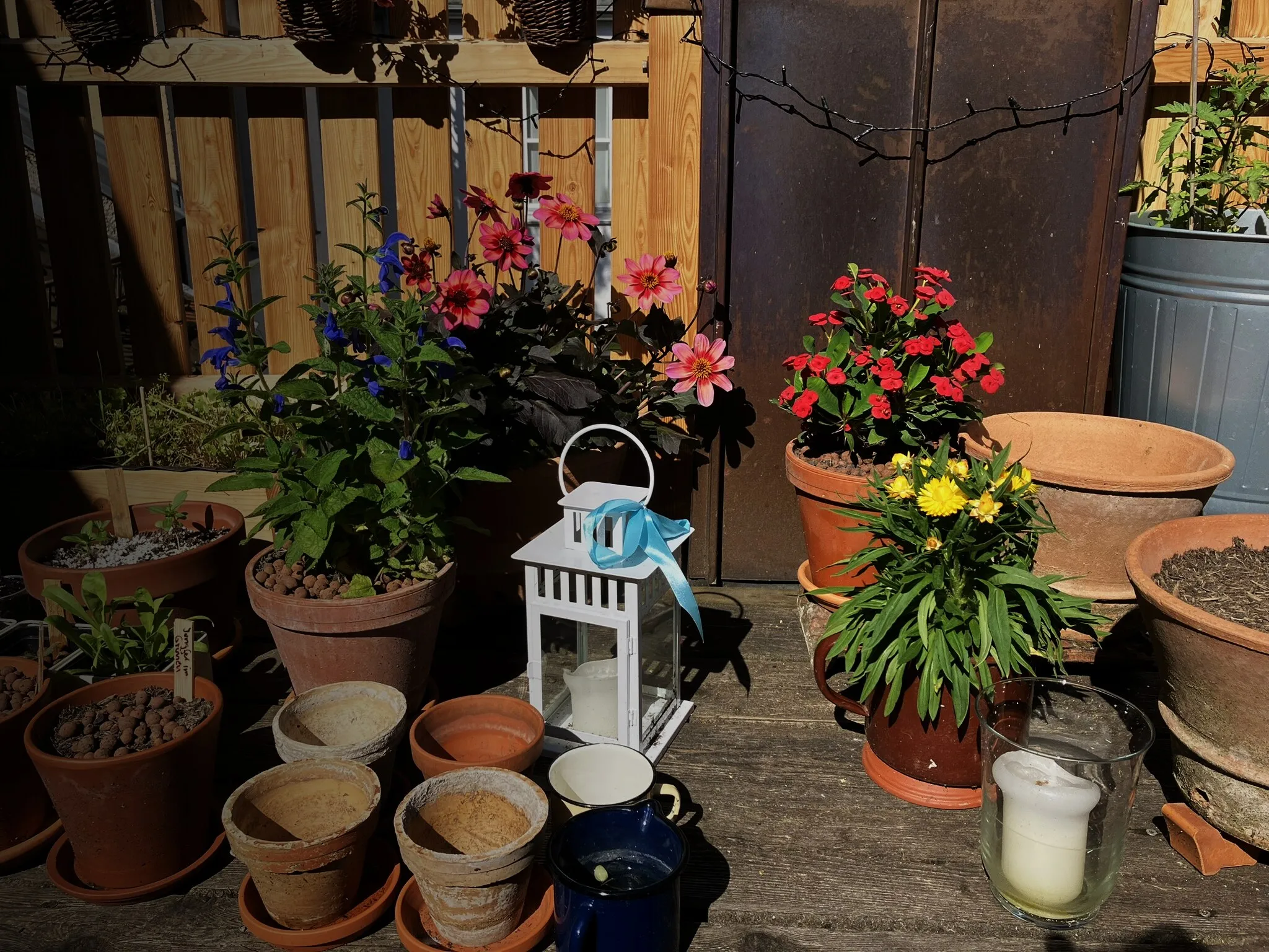 Blühende Balkonblumen in Tontöpfen mit Laterne auf einem Holzbalkon