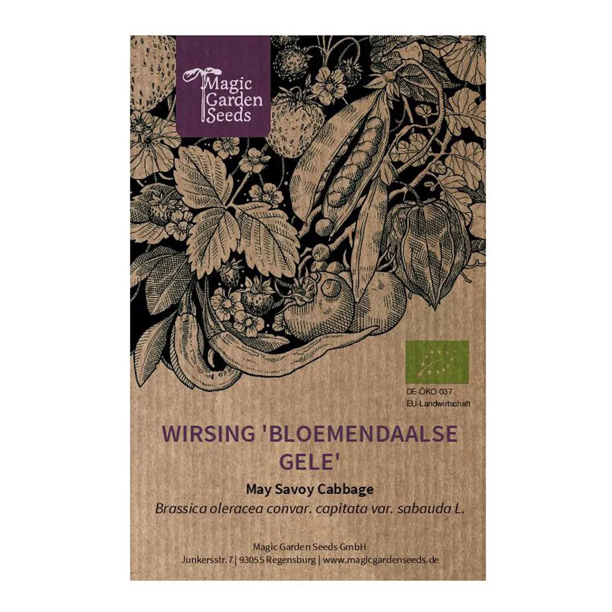 Wirsing/ Butterkohl 'Bloemendaalse Gele' (Brassica oleracea convar. capitata var. sabauda L.) Bio Saatgut