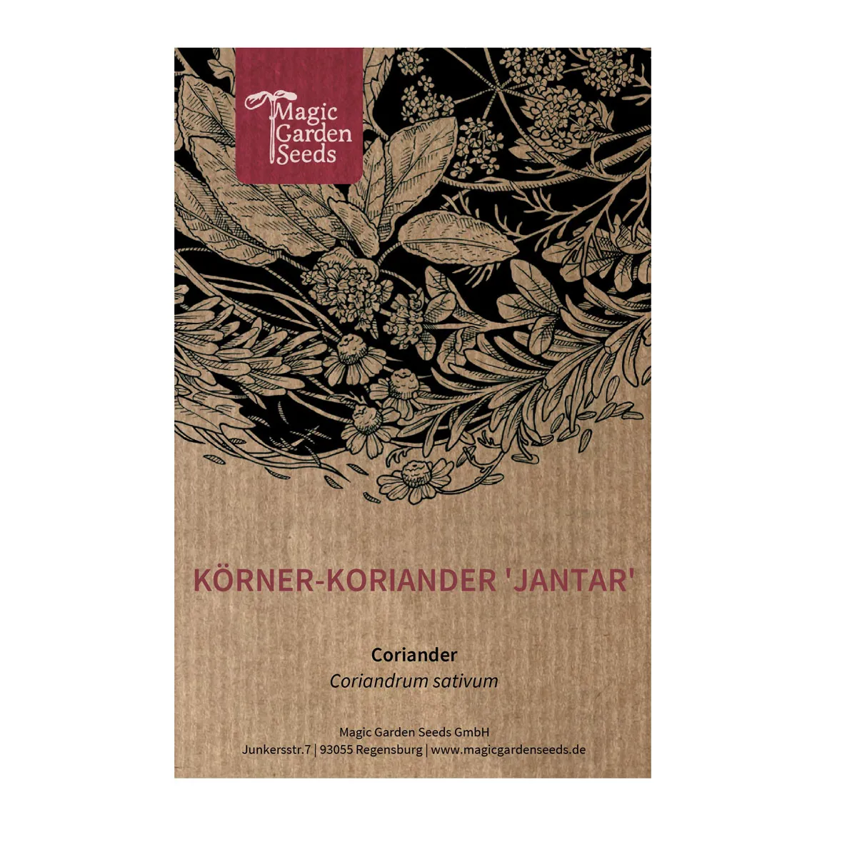 Körner-Koriander 'Jantar' (Coriandrum sativum) Samen