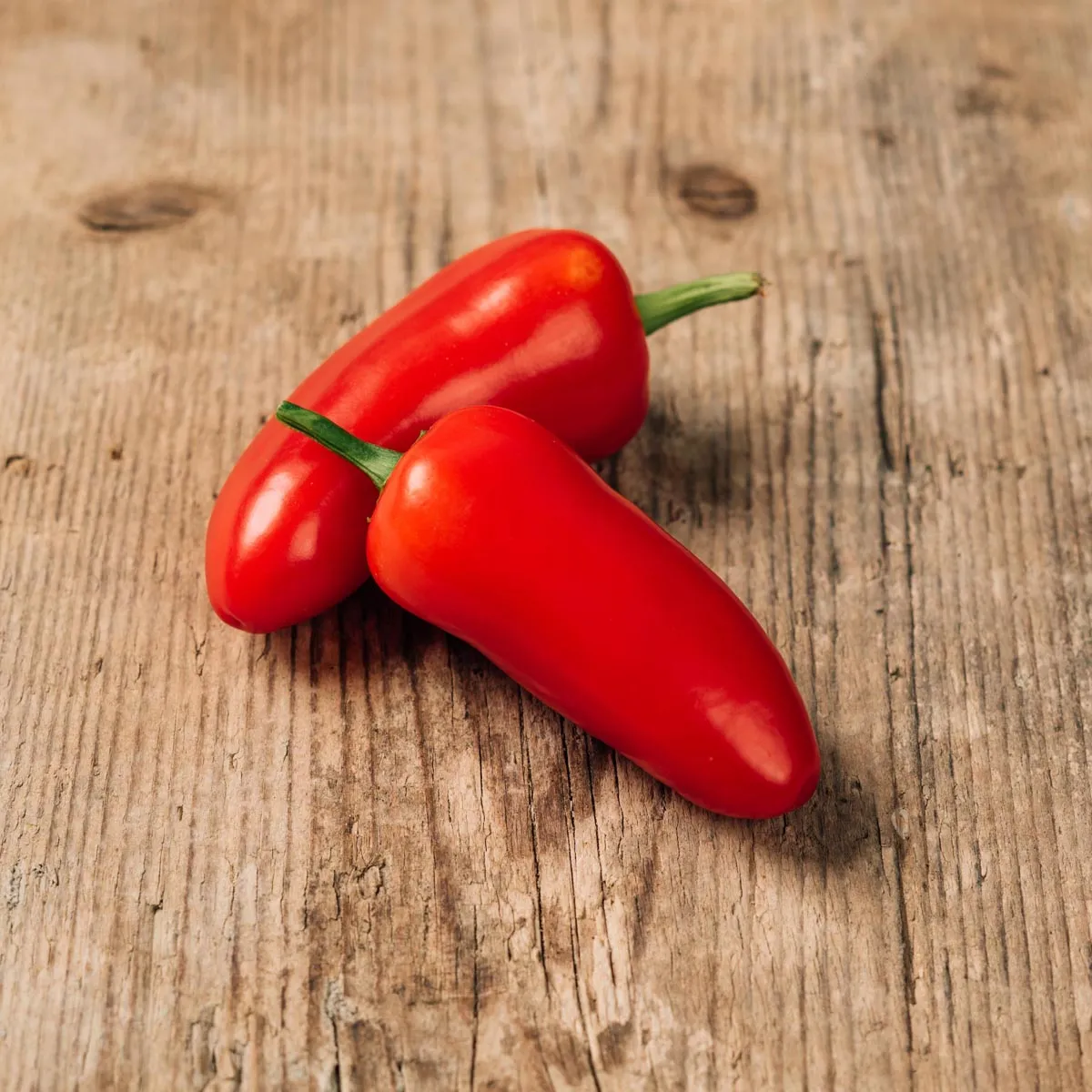 Chili 'Jalapeño' (Capsicum annuum) Samen