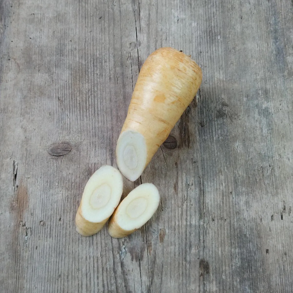 Pastinaken 'Halblange Weisse' (Pastinaca sativa) Bio Saatgut