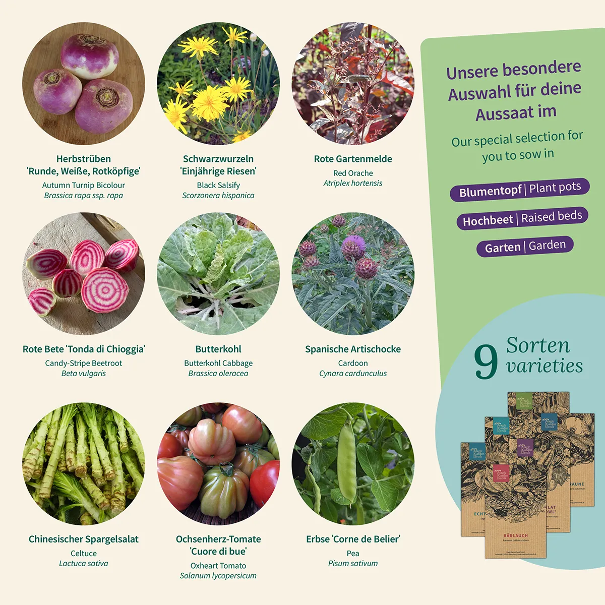 Gemüse Raritäten für Garten & Küche - Samenset Nr.7