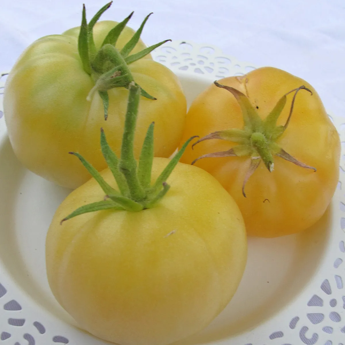 Tomate 'Mirabelle Blanche' (Solanum lycopersicum) Samen