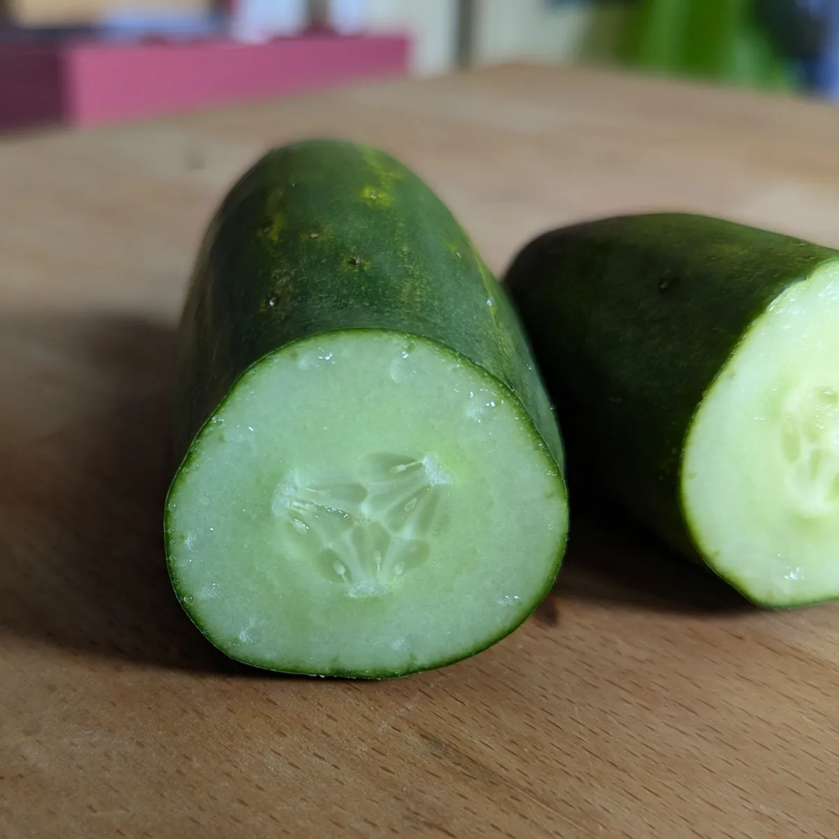 Netzgurke 'Salome' (Cucumis sativus) Bio-Saatgut