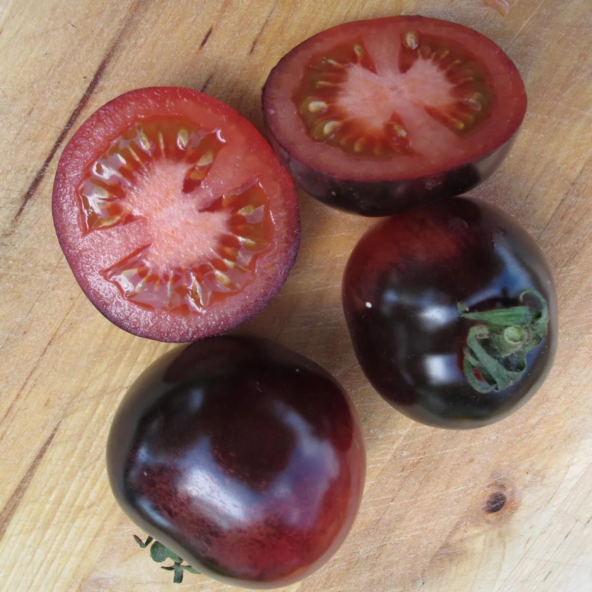 Tomate 'Indigo Rose' (Solanum lycopersicum) Samen