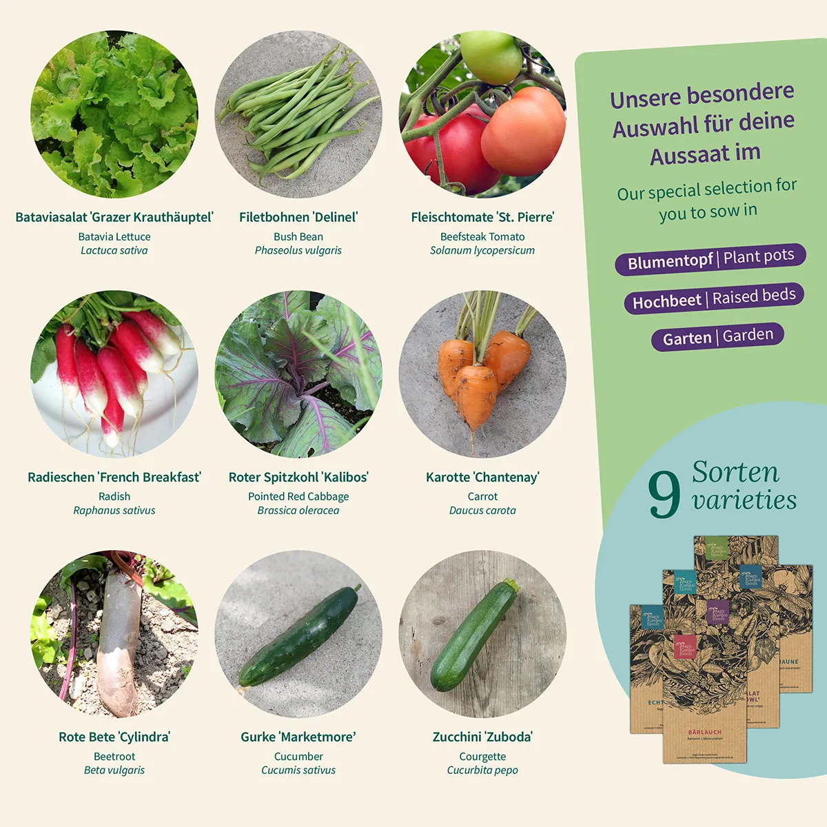 Garten-Gemüse fürs ganze Gartenjahr - Samenset Nr.27