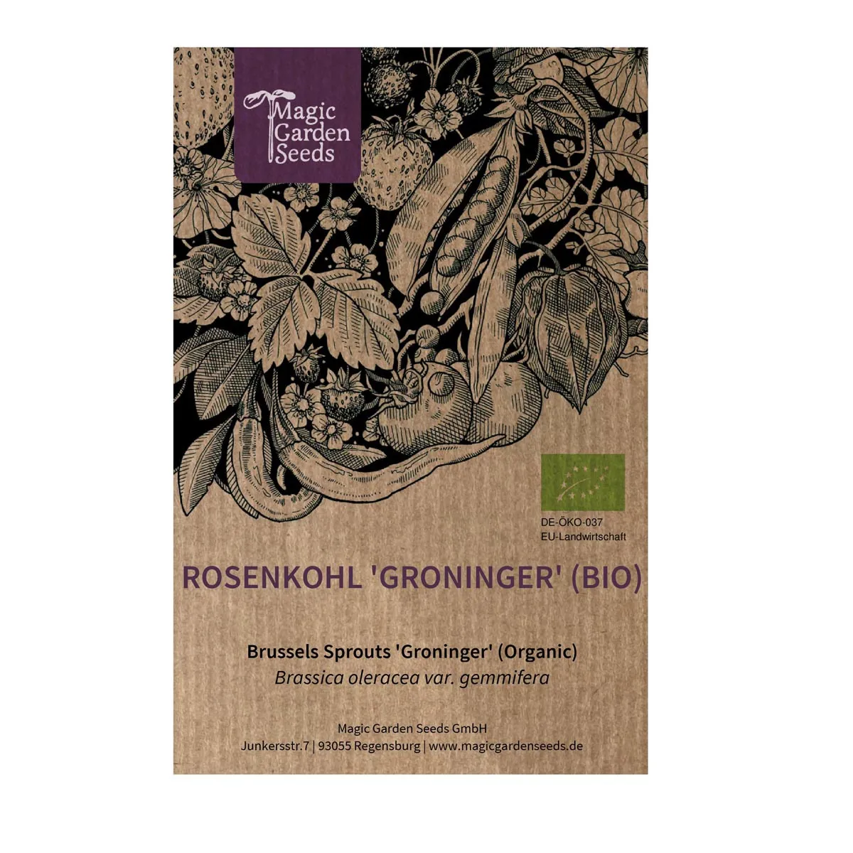 Rosenkohl 'Groninger' (Brassica oleracea var. gemmifera) Bio Saatgut