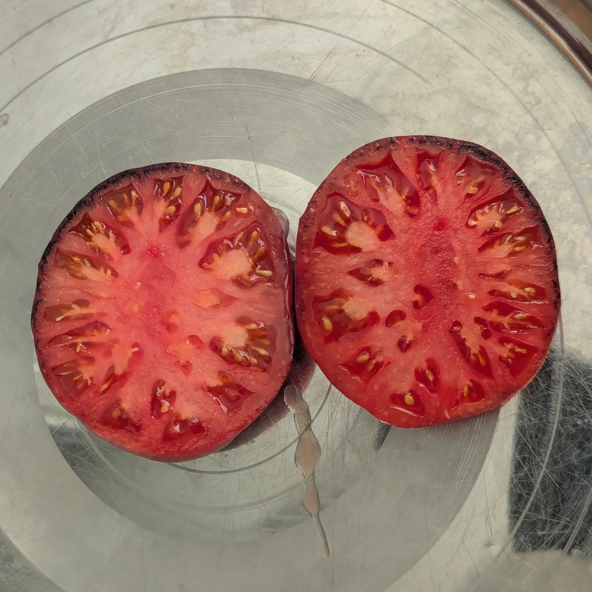 Fleischtomate 'Siberian Tiger' (Solanum lycopersicum) Samen