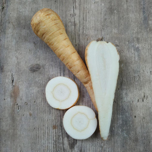aufgeschnittene Pastinake