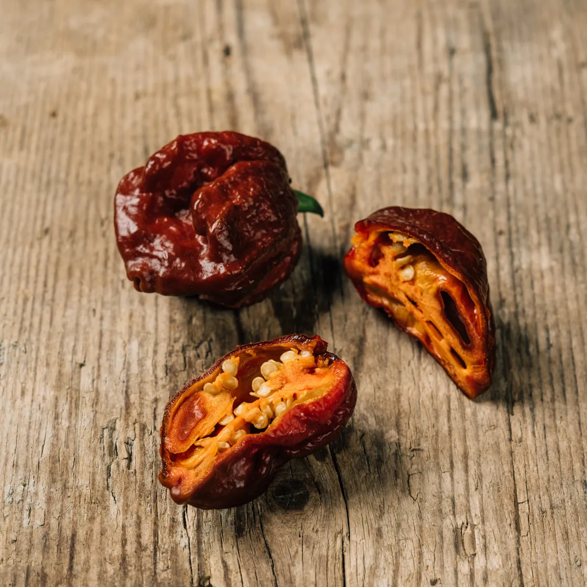 Chili 'Trinidad Scorpion Chocolate' (Capsicum chinense) Samen