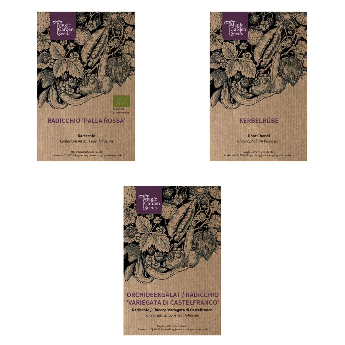 Gute Mischkulturpartner: Kerbelrübe & Radicchio - Samen-Geschenkset