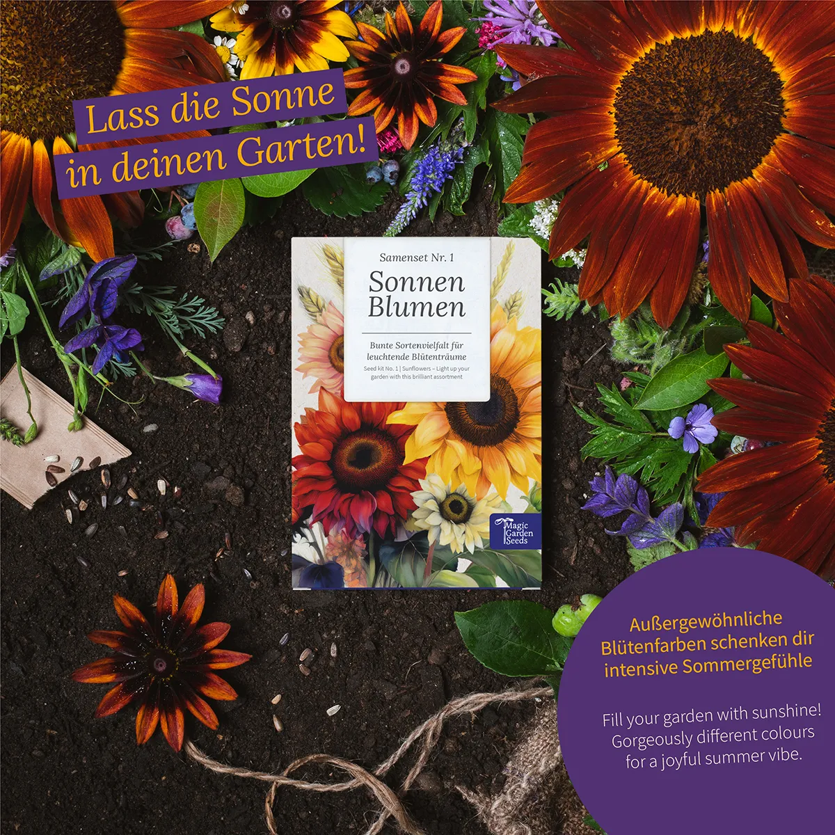 Sonnenblumen: Bunte Sorten einfach aussäen - Samenset Nr.1