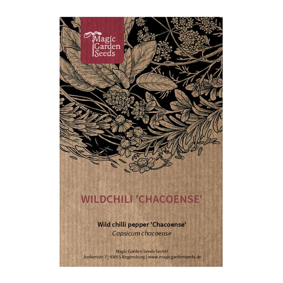 Wildchili 'Chacoense' (Capsicum chacoense) Samen