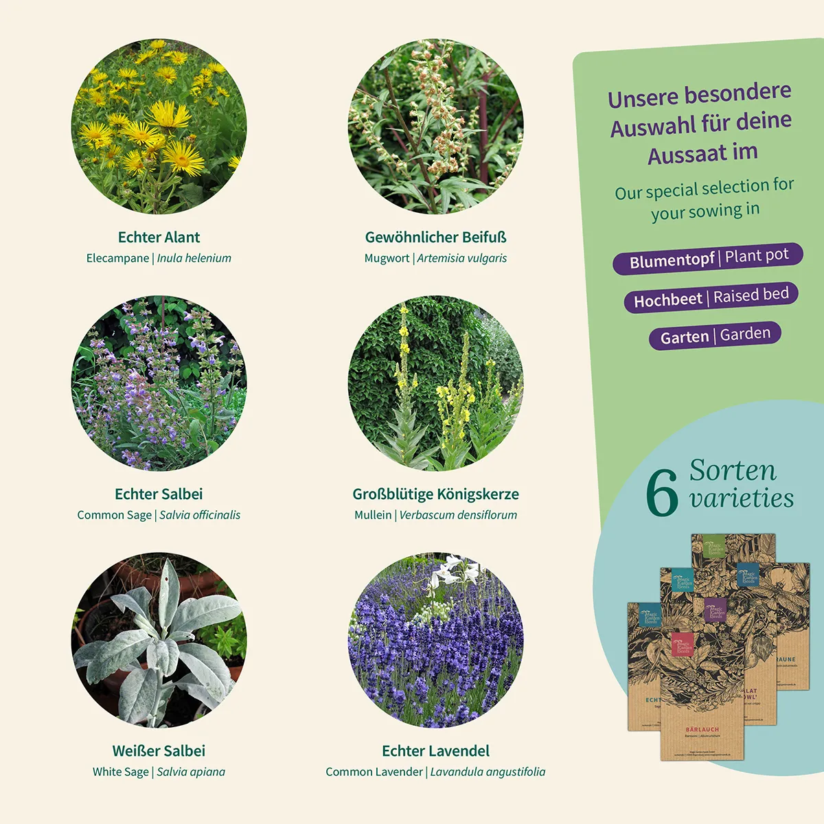 Räucher Kräuter - Für eigenes Räucherwerk aus dem Garten - Samenset Nr. 37