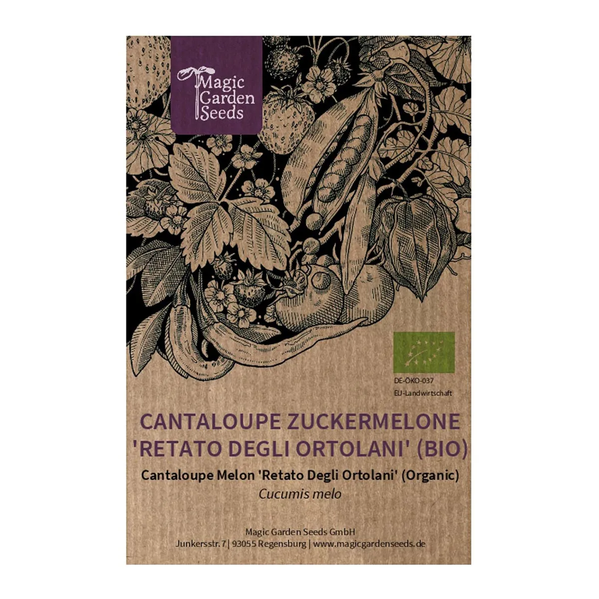 Cantaloupe Zuckermelone 'Retato Degli Ortolani' (Cucumis melo) Bio Saatgut