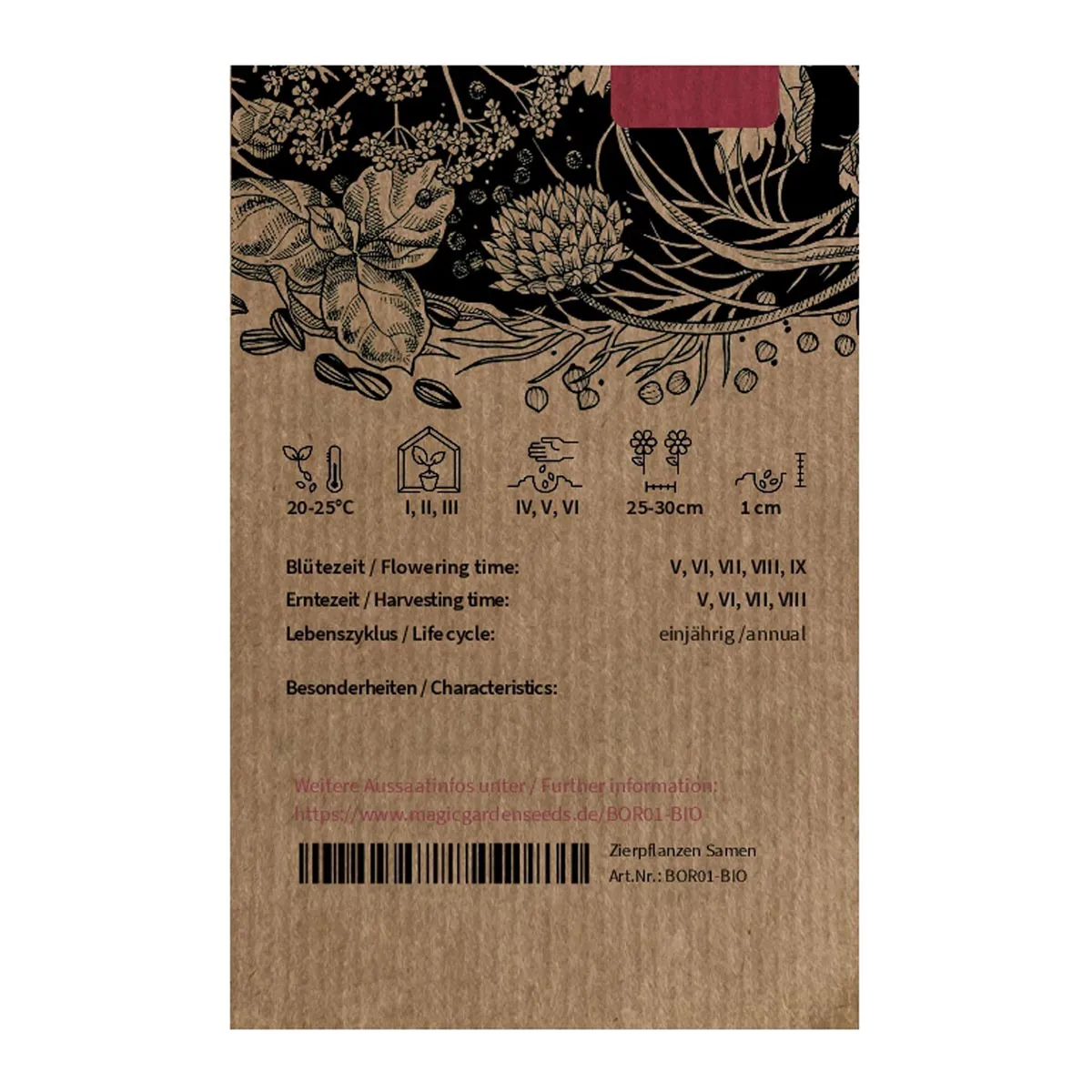 Weißer Borretsch 'Alba' (Borago officinalis) Bio Saatgut