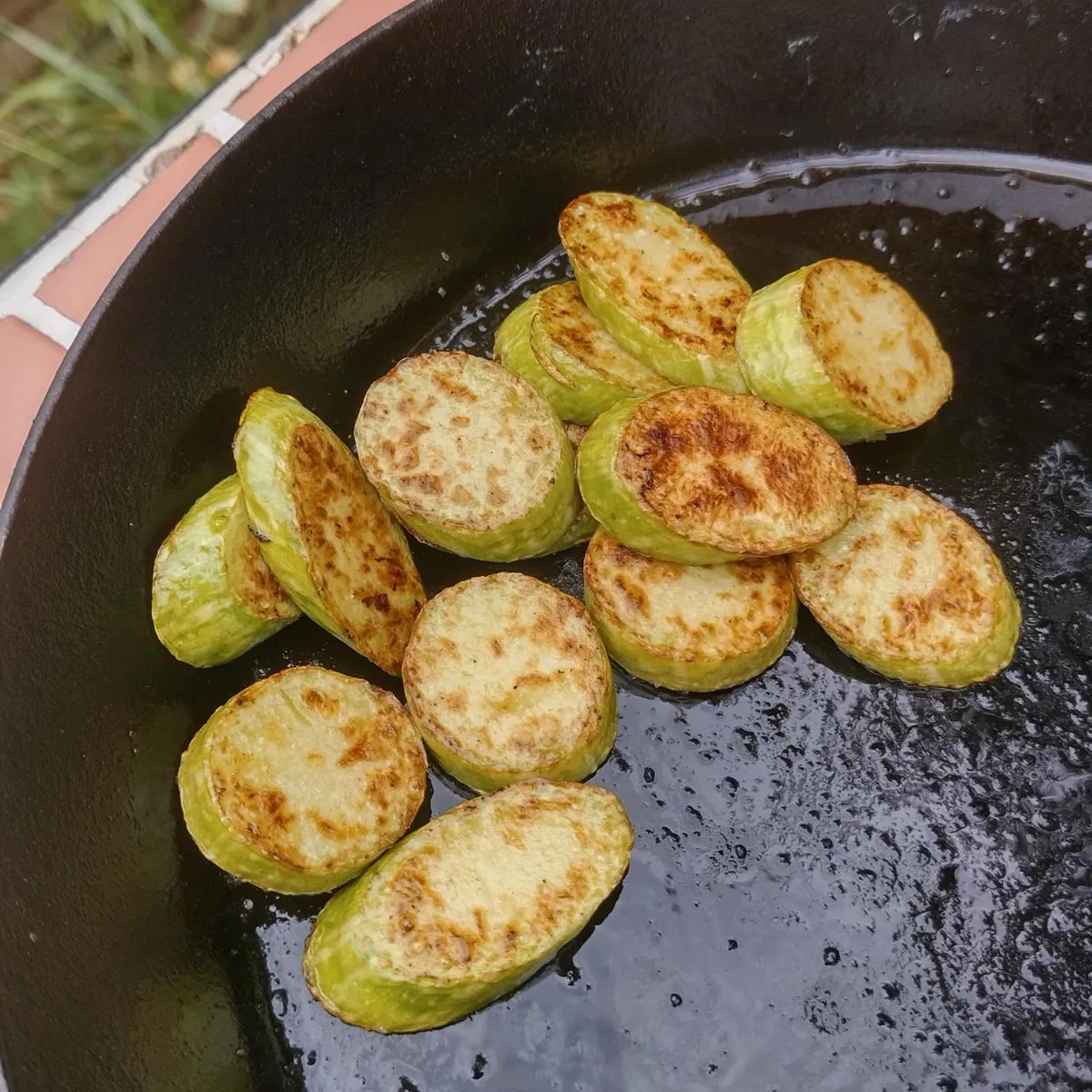 Zucchini 'Tromboncino d'Albenga' (Cucurbita moschata) Samen