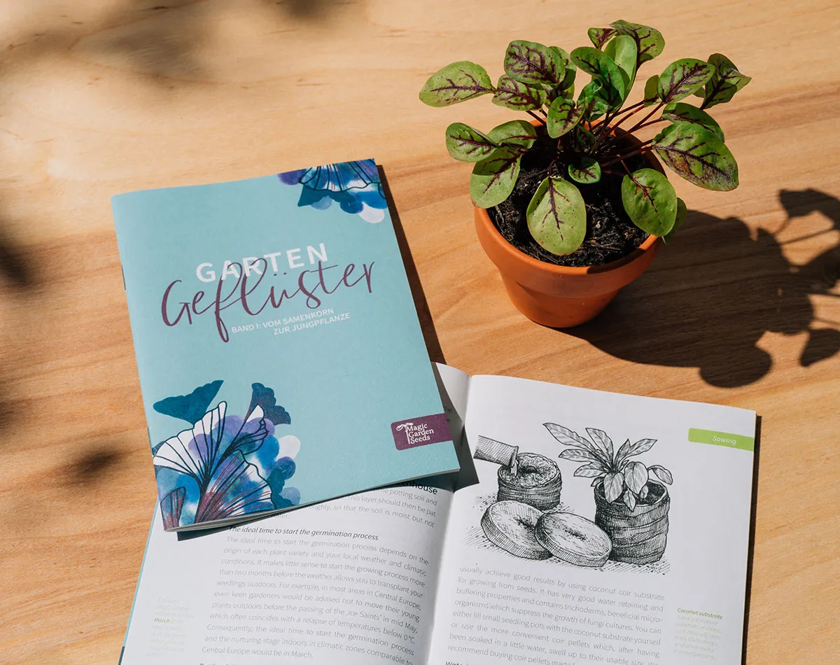 Download: Aussaatanleitung
