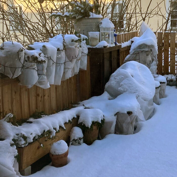 Mit Vlies eingepackte Kübel- und Kastenpflanzen am Holzzaun eines verschneiten Balkons