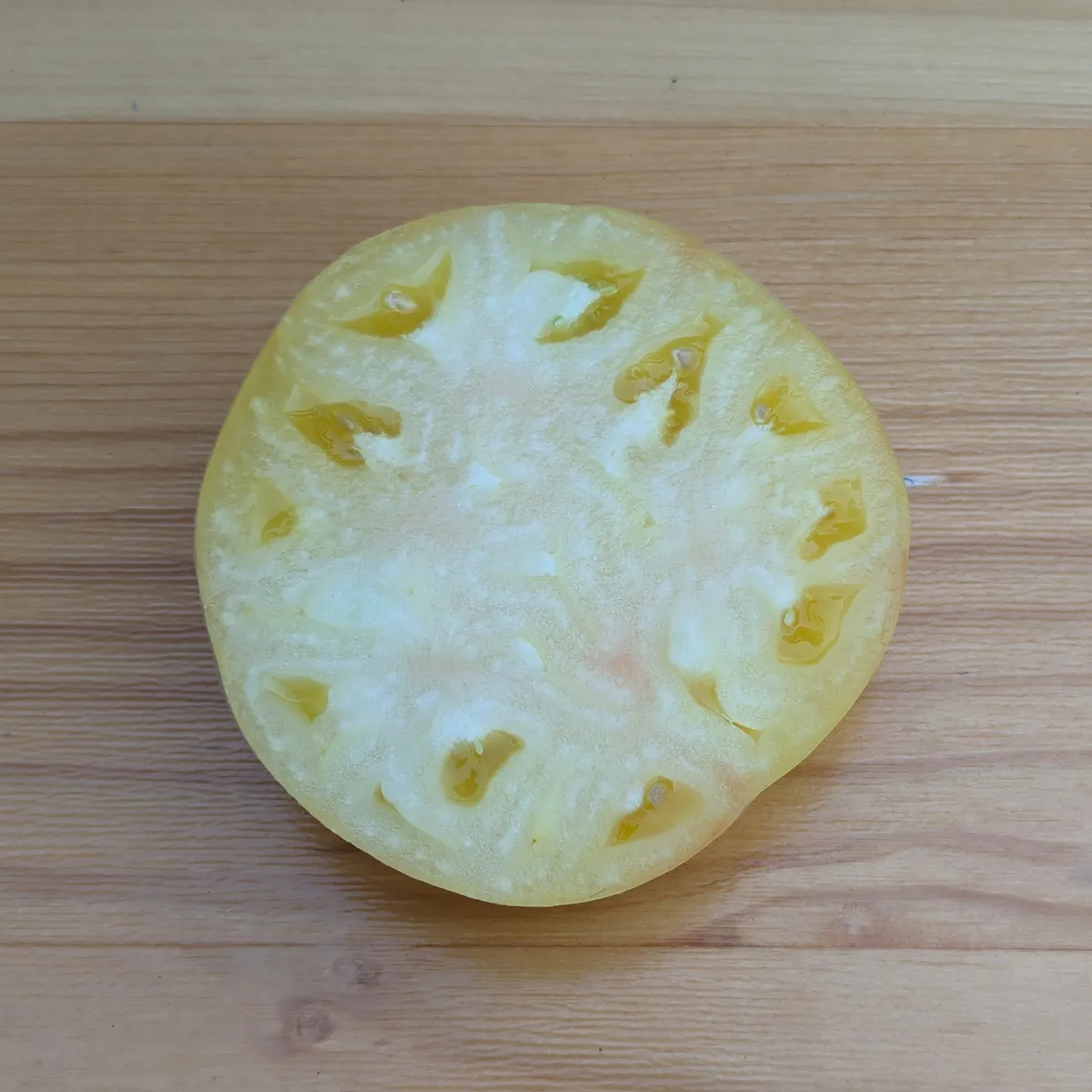 Fleischtomate 'Weiße Schönheit' (Solanum lycopersicum) Bio Saatgut