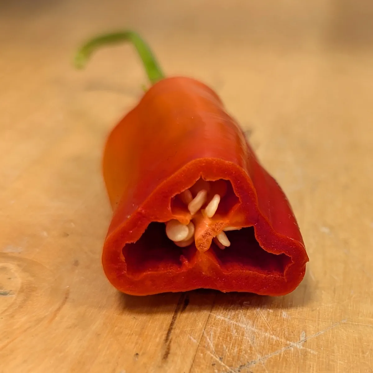 Chili 'Aji Delight' (Capsicum baccatum) Bio-Saatgut