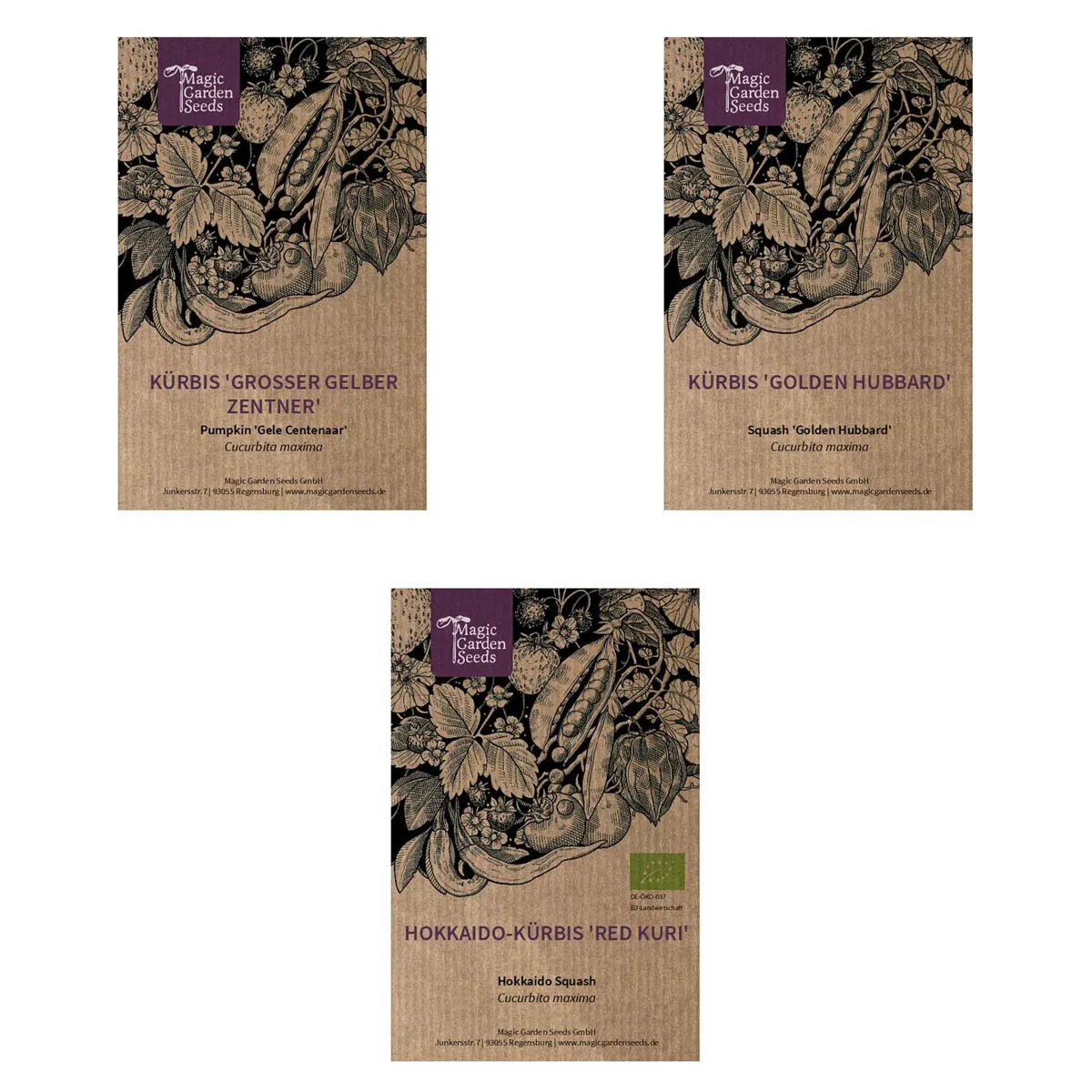 Halloween-Kürbis - Samen-Geschenkset