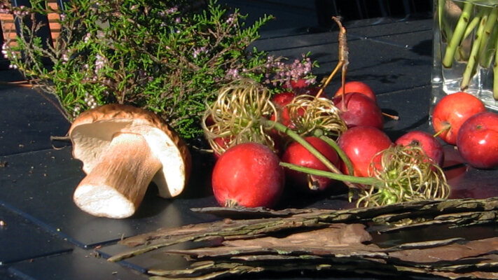 Altweibersommer – ein goldener Nachklang des Sommers - Altweibersommer: Bedeutung, Ursprung &amp; europäische Begriffe