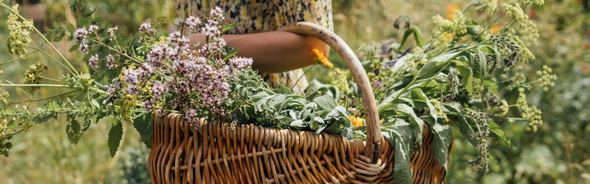 Kräuter konservieren im Spätsommer – So rettest Du ihr Aroma in den Winter - Kräuter konservieren: Die besten Methoden &amp; Rezepte für volles Aroma im Winter