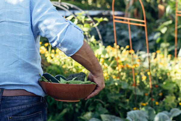 Nach der Ernte ist vor der Ernte: So verlängerst Du Deine Erntezeit mit Aussaat in Sätzen - Satzsaat im Sommer: So verlängerst Du Deine Erntezeit