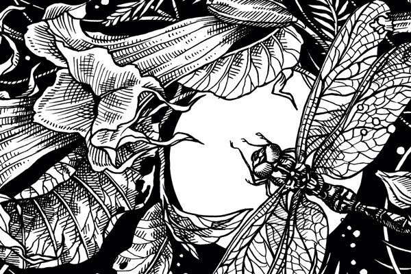 Earth Night: Wenn der Garten dunkel wird - Nachtblüher &amp; Lichtverschmutzung: So wird Dein Garten lebendig