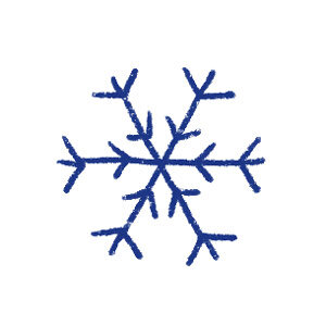 Icon Eiskristall
