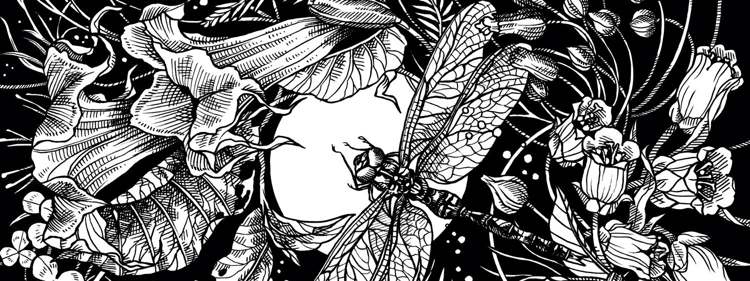 Illustration Mondgarten