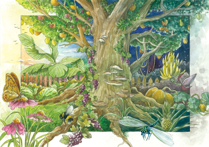 Magic Gaden Seeds - Ein magischer Garten der Fantasie