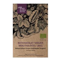 Bataviasalat Grazer Krauthäuptel (Lactuca sativa) Bio Saatgut