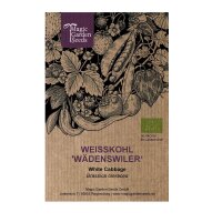 Weisskohl Wädenswiler‘ (Brassica oleracea) Bio...