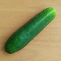 Gurke Marketmore’ (Cucumis sativus)  Bio Saatgut