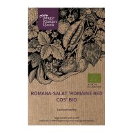 Romana-Salat Romaine Red Cos (Lactuca sativa) Bio