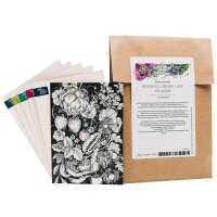 Grußkartenset - Magic Garden Seeds Highlights - 6 Postkarten mit unseren 6 schönsten handgezeichneten Motiven und passende Briefumschläge