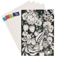 Grußkartenset - Magic Garden Seeds Highlights - 6 x 3 Postkarten mit unseren 6 schönsten handgezeichneten Motiven und passende Briefumschläge