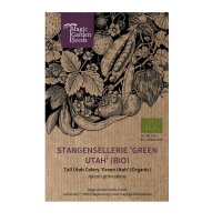 Stangensellerie Green Utah (Apium graveolens) Bio